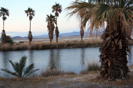 Mojave desert