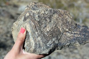 stromatolite