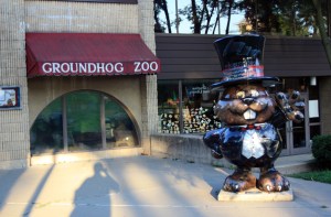 groundhog zoo