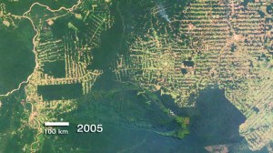 Deforestation of the Brazilian rain forest as seen from space.
