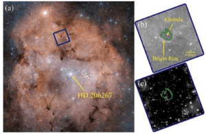 Bright Rimmed Clouds in IC1398. The region expanded is called BRC 38. One of the teams discovered several YSOs in the area.