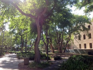 Another view of Caltech campus.