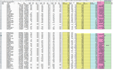 Total Excel star sheet