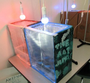 Red and blue light chamber-s