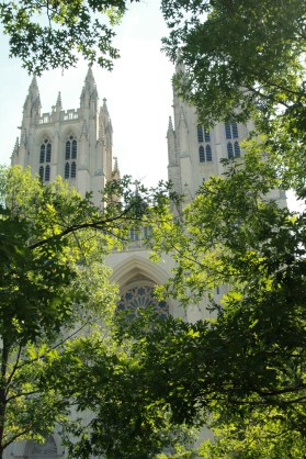 Cathedral through trees